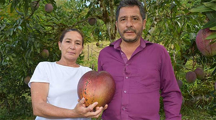 Vợ chồng Germán Orlando Novoa Barrera và Reina Maria Marroquín cùng quả xoài khủng