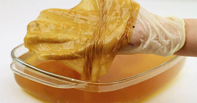 Loại quần áo có thể được làm từ tảo?