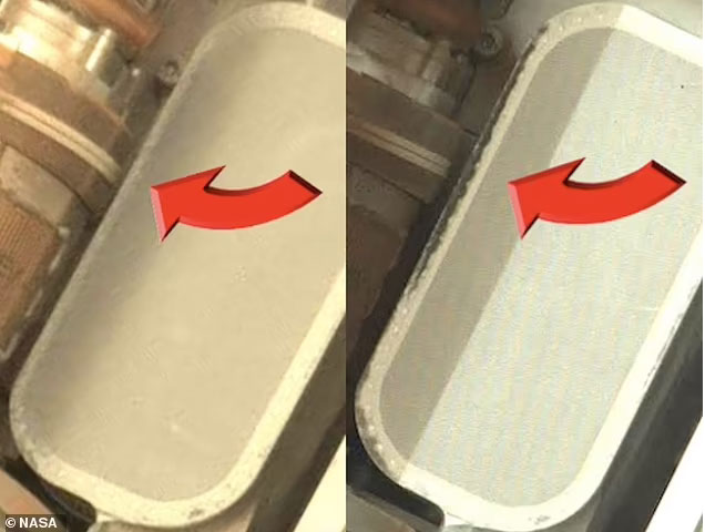 NASA vô tình ghi hình được sự sống ngoài hành tinh?