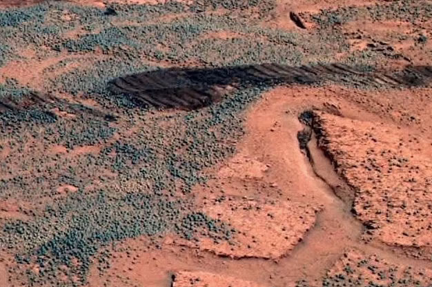 NASA vô tình ghi hình được sự sống ngoài hành tinh?