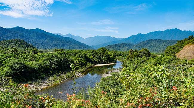 Vườn Quốc gia Vũ Quang được coi là mỏ loài mới của Việt Nam.