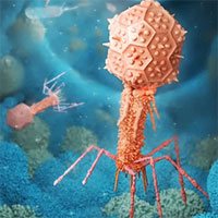 Những virus có bộ gene "ngoài hành tinh" sẽ khiến sách giáo khoa sinh học phải được viết lại