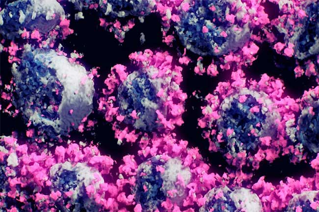 Chủng virus gây bệnh Covid-19 đã biến đổi hơn 6.600 lần