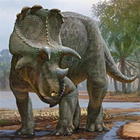 Hóa thạch tiết lộ loài khủng long có sừng cổ xưa nhất