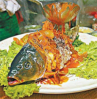 Món cá âm dương nửa sống, nửa chết khiến thực khách "sởn da gà"