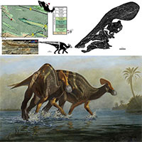 Các nhà cổ sinh vật học Mexico xác định được loài khủng long mới
