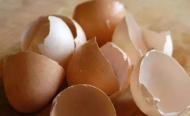 17 tác dụng bất ngờ của vỏ trứng
