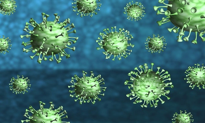 Virus mới phát hiện được đặt tên là CCoV-HuPn-2018.