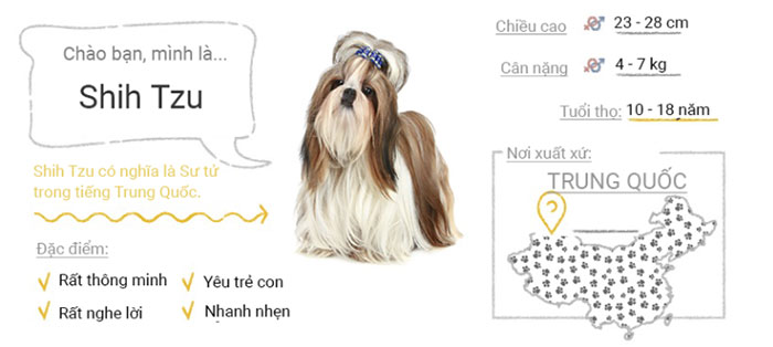 Chó Shih Tzu