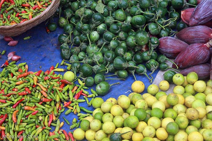 Chế độ ăn kiểu công nghiệp đang 