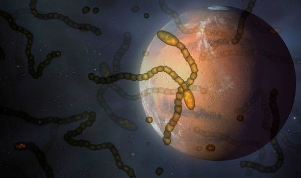 Tàu thăm dò của NASA tìm thấy muối hữu cơ trên sao Hỏa