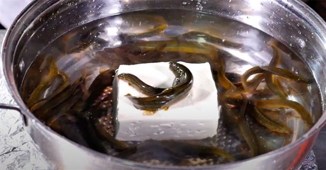 Rùng mình đặc sản đậu phụ "địa ngục", cá "giãy đành đạch" chờ bị luộc chín