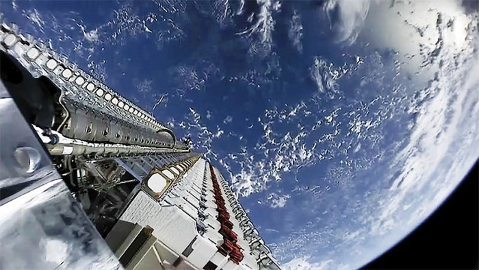 Dịch vụ internet Starlink của Elon Musk có thể bị gián đoạn chỉ vì một… cái cây