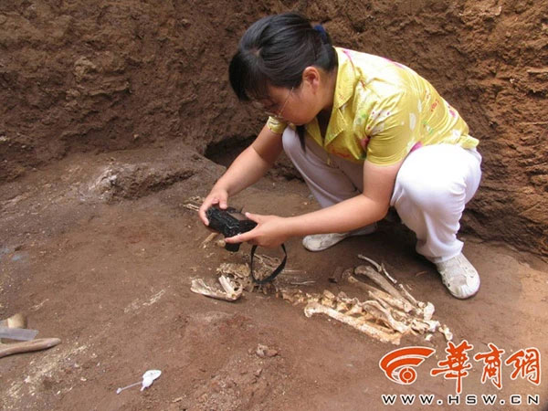 Tìm thấy giống loài 