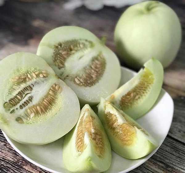 Sự thật bất ngờ về quả dưa lê quen thuộc