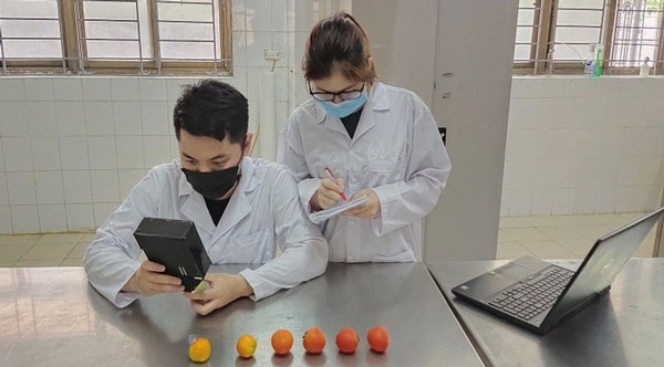 Sinh viên chế tạo thiết bị đo độ chín cà chua