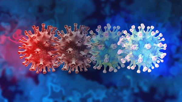Toàn bộ virus SARS-CoV-2 trên thế giới gộp lại chỉ nặng bằng một quả táo