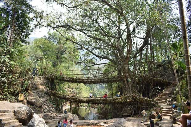 Top 18 thứ độc nhất vô nhị chỉ có thể bắt gặp tại đất nước tỷ dân Ấn Độ