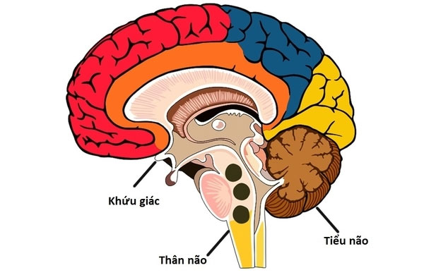 Di chuyển đồ vật từ xa - điều không tưởng hay khả năng chưa được khai thác?
