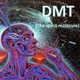 Chất thức thần DMT là gì? Nó có thực sự đem lại các lợi ích về tâm linh như nhiều người nghĩ?