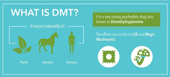 DMT trong thế giới tự nhiên.