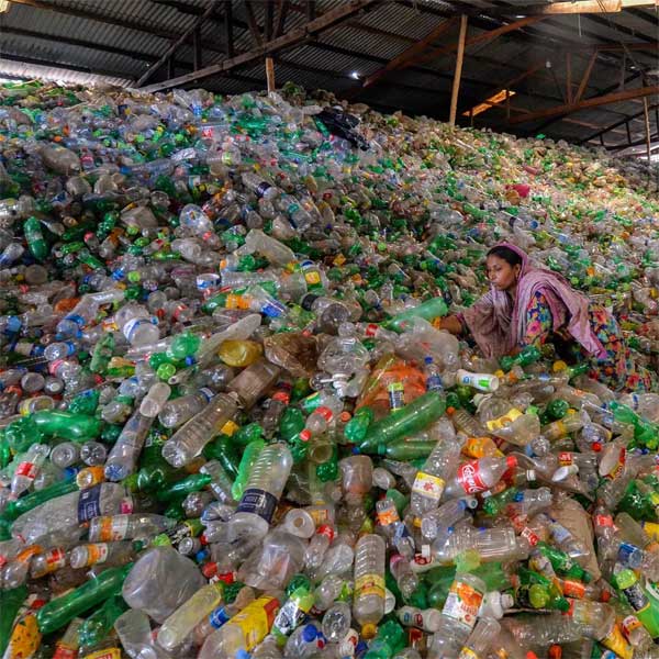 Các nhà khoa học biến đổi chai nhựa đã qua sử dụng thành hương liệu vani