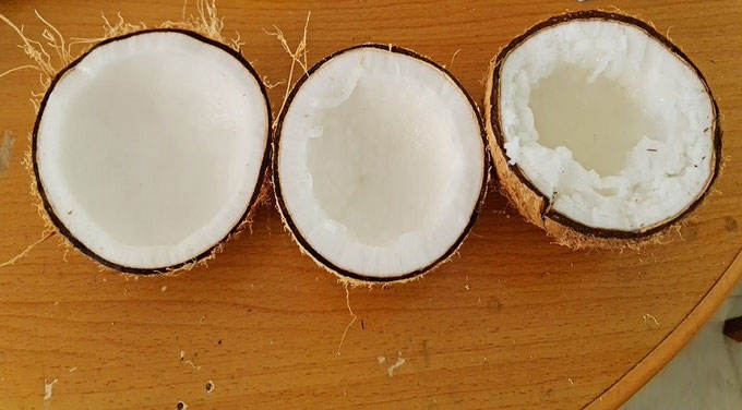 Công cụ giúp đo tỷ lệ dừa sáp bằng âm thanh