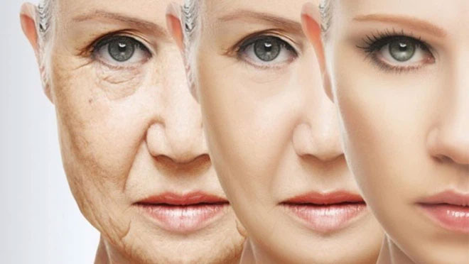 Không gì cản được quá trình lão hóa: Nghiên cứu mới dập tan tranh cãi xung quanh khả năng bất tử