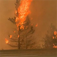 Bão lửa ở Canada gây ra 710.117 tia sét trong 15 giờ
