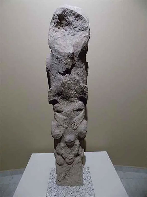 Phát hiện 12 