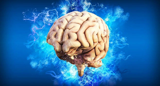 Tế bào thần kinh là chất keo dính các ký ức của chúng ta lại với nhau theo đúng trình tự.