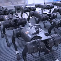 Video: Binh đoàn robot "hít đất" đều tăm tắp