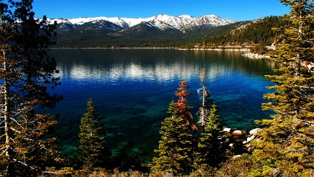 Hồ Tahoe có cả rừng quốc gia và công viên tiểu bang.