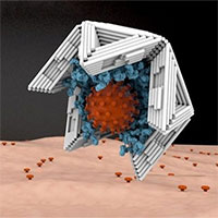 "Bẫy" kích thước nano vô hiệu hóa virus truyền nhiễm