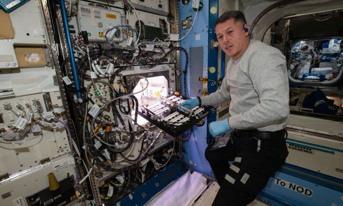 Lần đầu tiên phi hành gia trồng ớt trên Trạm vũ trụ quốc tế ISS
