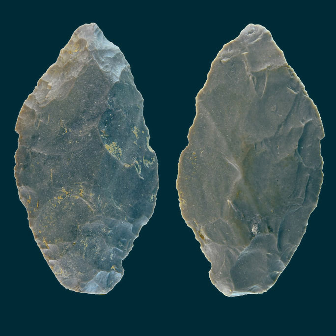 Bằng chứng sốc về 