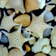 Kỳ lạ bãi biển có những hạt cát hình ngôi sao