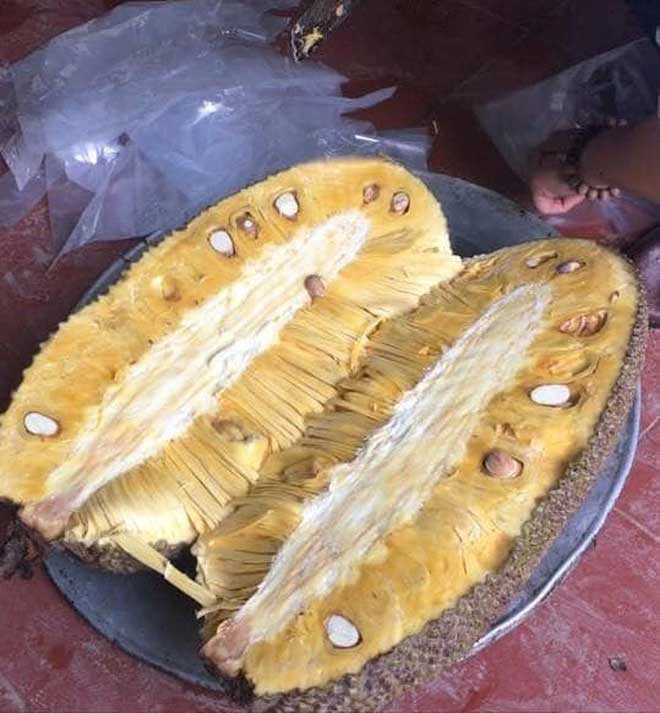 Loài mít ngoại lai 