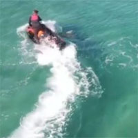Cá mập truy đuổi người đàn ông lái mô tô nước trên biển Australia