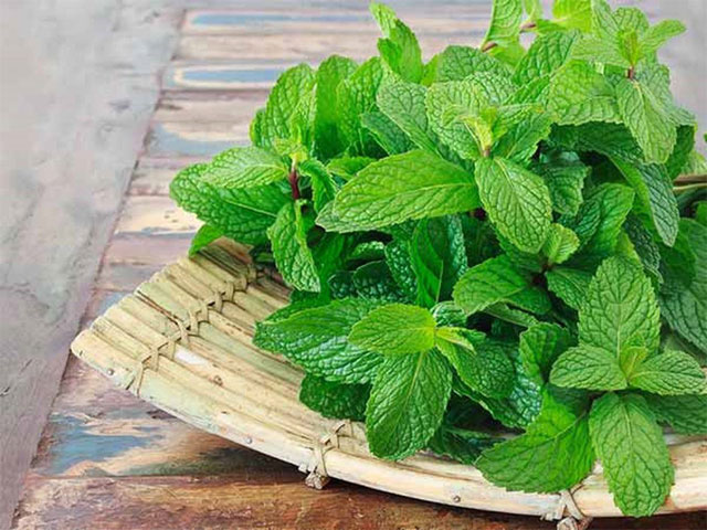 Tại sao hành, tỏi gây hôi miệng?