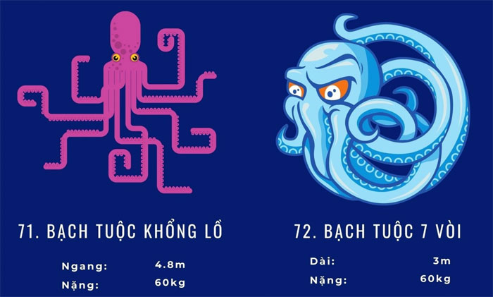 Top 72 loài động vật biển lớn nhất thế giới