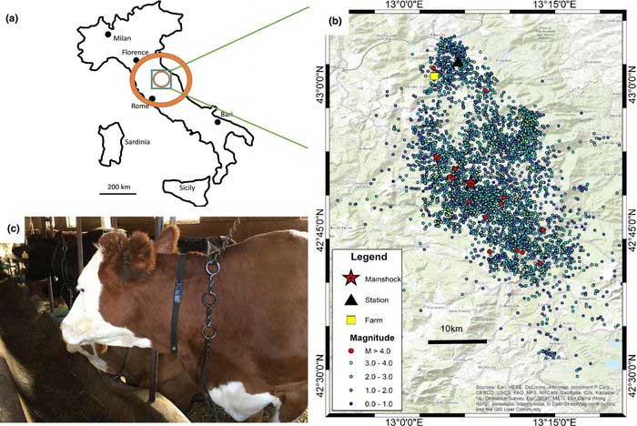 Mối liên hệ giữa phản ứng của một số gia súc với động đất ở miền bắc nước Ý.