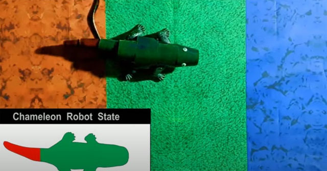 Các nhà khoa học tạo ra robot tắc kè hoa, đổi màu theo thời gian thực