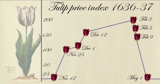 Hội chứng tulip diễn ra vào thế kỷ 17 khiến giá hoa tulip bị đội cao hơn gấp nhiều lần.