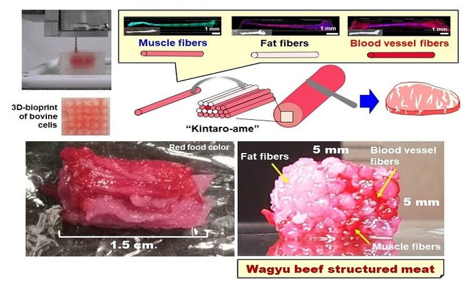 Thịt bò Wagyu in 3D đầu tiên trên thế giới