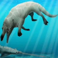 Phát hiện cá voi bốn chân kỳ dị 43 triệu năm tuổi
