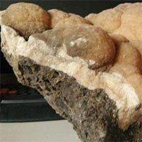 Thạch nhũ triệu năm có hình dáng giống hệt cây súp lơ