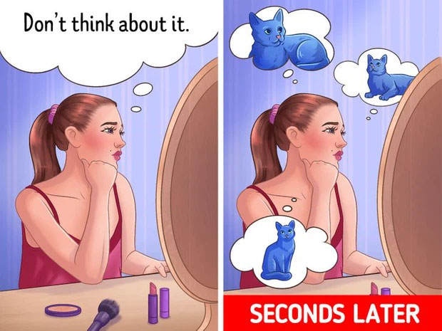 7 lần não bộ khiến bạn phải 