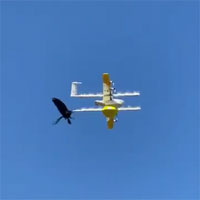 Tưởng nhầm là kẻ địch, quạ tấn công drone chở cà phê