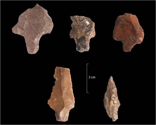 Một số đồ dùng mà người Aterian tạo ra từ đá.